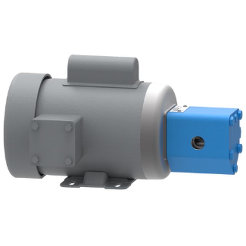 SG Series Spur Gear Pump